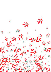 Green Leaves Background White Vector. Berries November Design. Red Foliage. Pink Leaf Elm. Abstract Card.