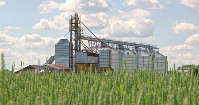 Silver silos on agro-processing and manufacturing plant for processing drying cleaning and storage of agricultural products, flour, cereals and grain. Modern Granary elevator. 