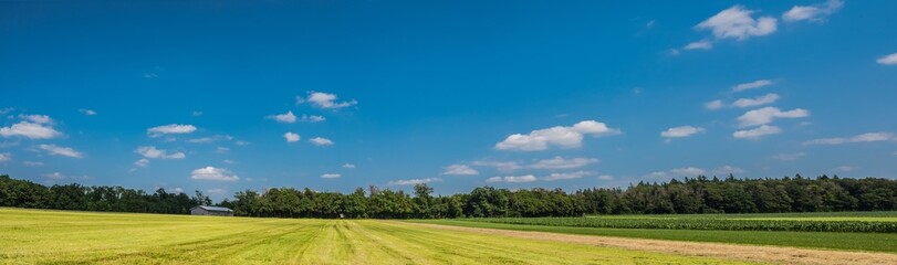 Green field with agriculture meadow and blue sky. Panoramic view to grass on the hill on sunny...