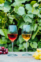 Glasses with white and red wine and grape berries on the wooden table in the vineyards, winery with green leaves background. Wine tasting, Degustation. Vertical card. Selective focus, Copy space