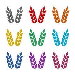 Wheat icon isolated on white background. Set icons colorful