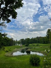 Fototapeta premium landscape with river