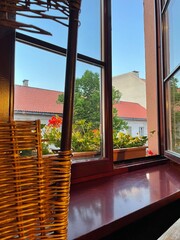 view from the window