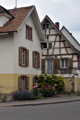 Fototapeta na wymiar Malerische alte Häuser in Bickensohl am Kaiserstuhl 