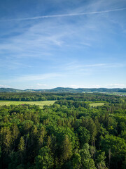 Aerial shot of forest and hills in background