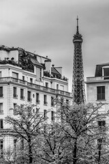 Obraz premium Paris buildings with the Eiffel Tower in the background in black and white 