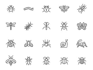 Insect line icon. Beetle caterpillar vector pest cricket bee insect pictogram illustration.