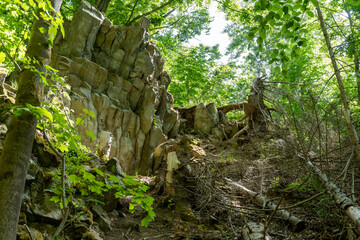 Auf dem Ulmenstein bei Hofaschenbach in der Rhön