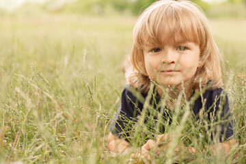thoughtful little boy curly blond lying on a green lawn summer nature