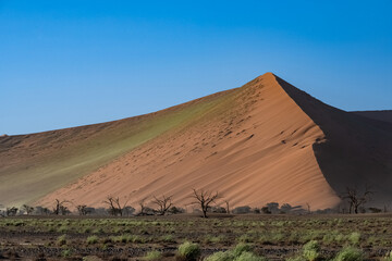 Obraz na płótnie Canvas Namibia, the Namib desert, graphic landscape