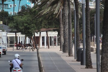 street in the beach with palm