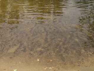 water in the river