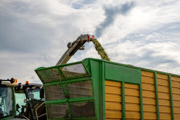 Leutkirch, Germany - June 06, 2022: The combine pours silage into the tractor-trailer in the field....