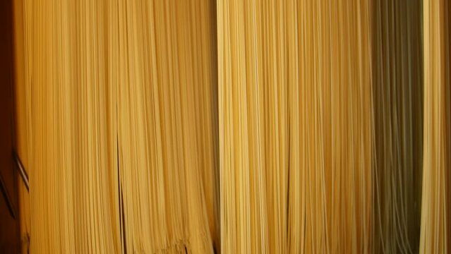 Production of pasta on a modern production line. Macaroni factory and pasta production. Raw spaghetti hung in a pasta factory, swinging, to dry. Food background for restaurants or cafes. Close up.