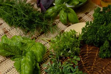 Plantas aromáticas e ervas sobre mesa - manjericão, manjericão roxo, arruda, aneto, salsa crespa © mm.vh
