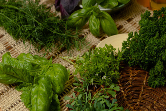 Plantas arom&aacute;ticas e ervas sobre mesa - manjeric&atilde;o, manjeric&atilde;o roxo, arruda, aneto, salsa crespa