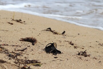 Face mask on the beach
