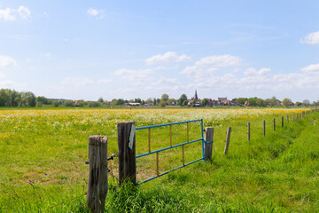 Skyline Dutch city Hattem
