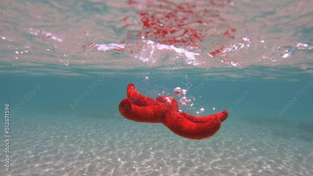 Wall mural Underwater slow motion video of beautiful red starfish falling slowly from surface to sandy sea bed in turquoise exotic paradise beach