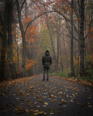 person walking in autumn park