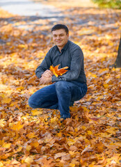 Naklejka na ściany i meble portrait of a man, he is sitting in a glade and picking yellow maple leaves, a bright sunny day in an autumn park