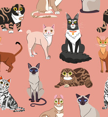 Cute cat seamless vector pattern on red background. Pet flat illustration for branding, package, fabric and textile, wrapping paper