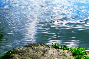 illustration green grass on the background of water