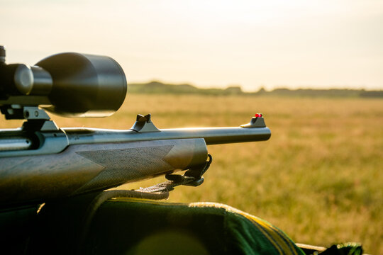 Auf der Jagd