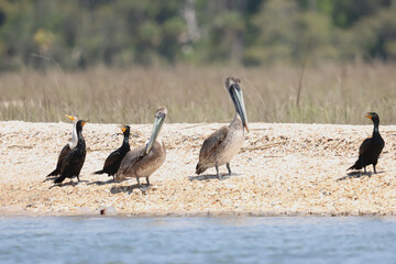 beauty in nature
no people