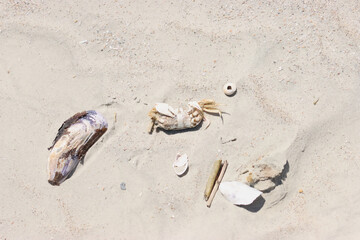 beauty in nature
no people