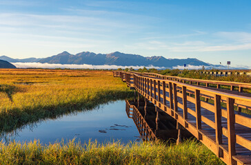 A wooden boardwalk in Potter Marsh Bird Sanctuary, Alaska	