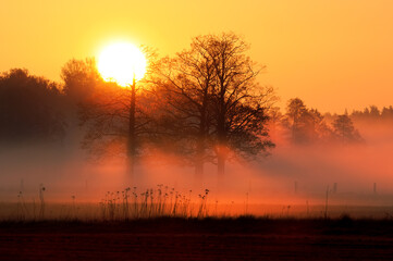 Sunrise upon a fields with fog