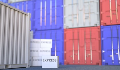 Box with EXPRESS text and cargo containers. 3D rendering
