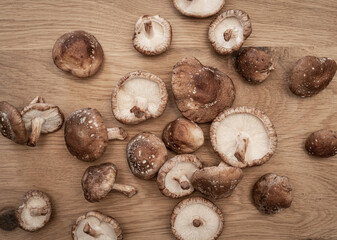 Shitake Pilze auf Holztisch