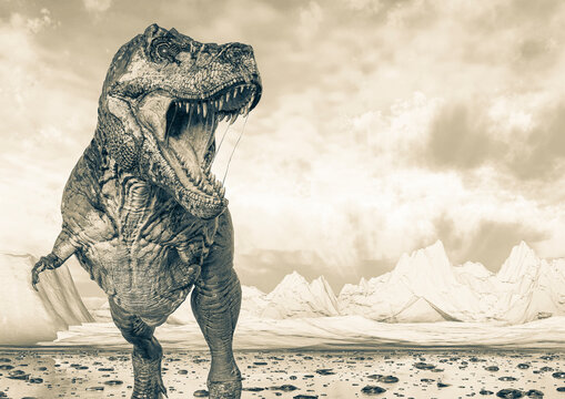 tyrannosaurus rex is looking for food on ice land