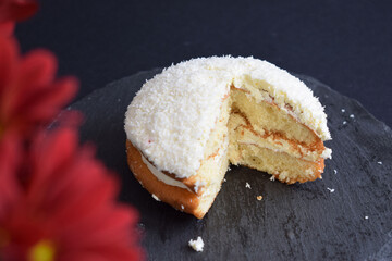 Coconut cake on a black background