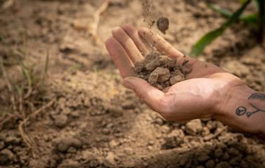 Man hands holding dry soil on a field