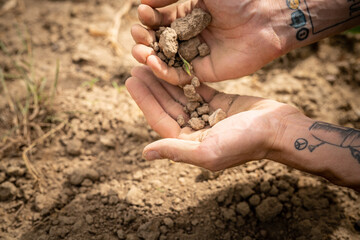 Man hands holding dry soil on a field