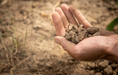 Man hands holding dry soil on a field