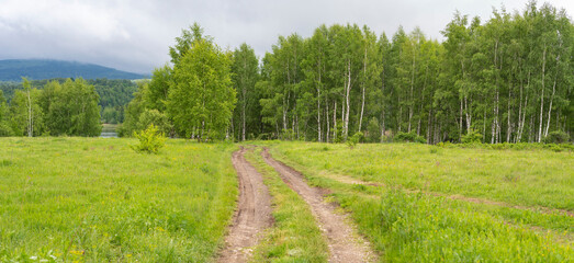 Fototapeta premium Dirty road through mountain meadow on cloudy day