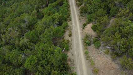 Framura Liguria Italy, drone view of dense mountain forest with maritime pines in unspoiled nature green woods typical of the Mediterranean and fire risk with terrestrial overheating global warming 