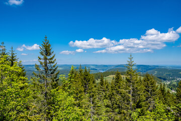 Viewpoint two lakes - Feldberg, Germany