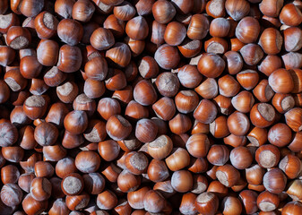 hazelnut background, healthy food concept, food background, heap of  raw hazelnuts. of fresh raw hazelnuts