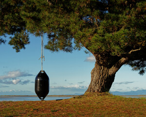 A swing made from half a mussel farm buoy on Motueka seafront, Tasman region, Aotearoa / New Zealand.