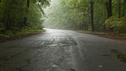 road in the forest