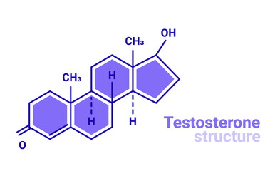 Testosterone hormone formula icon. Testosterone molecule structure male hormone formula