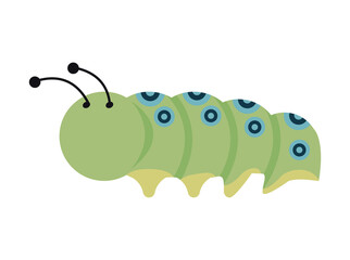 caterpillar insect garden spring