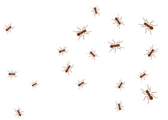 Ant vector trail marching illustration. Ant bug pest control background teamwork