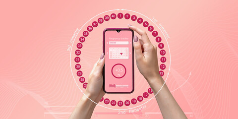 Pregnancy tracker mobile app on smartphone screen in hands of woman, graphic representation of...