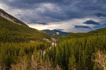 Panoramic View Of Mountains And Trees In Kananaskis